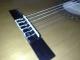 Lusaka_Guitarist's Avatar