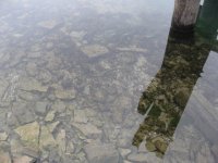 water shadow.JPG