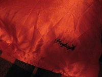 satin pillow.JPG