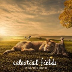 Celestial Fields (cover).jpg